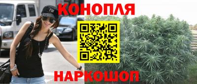 сатива Краснознаменск
