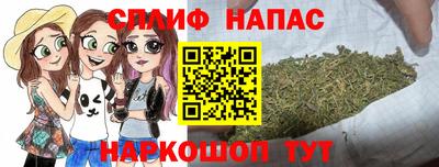 сатива Краснознаменск