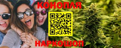 сатива Краснознаменск