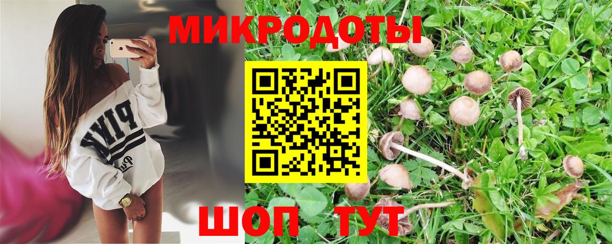 Псилоцибиновые грибы мухоморы Пятигорск