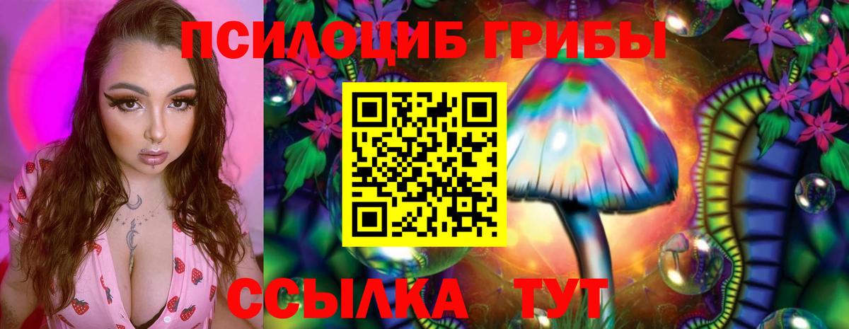 Галлюциногенные грибы Cubensis  наркошоп  Пятигорск  Вход с VPN  Галлюциногенные грибы Magic Shrooms 